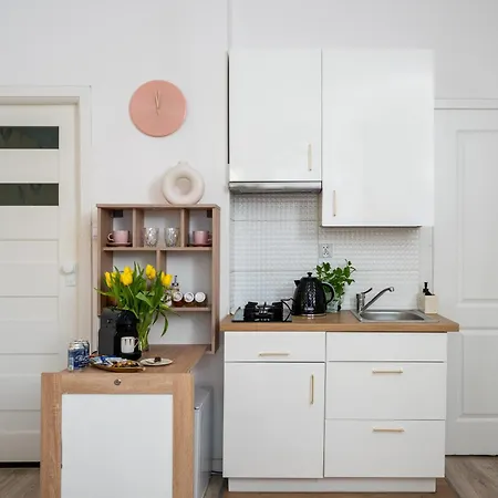 Appartement Pink Elephant 2x1br In Historic Tenement House 1 Km From Warschau
