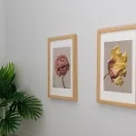 Pink Elephant 2x1br In Historic Tenement House 1 Km From Apartment *