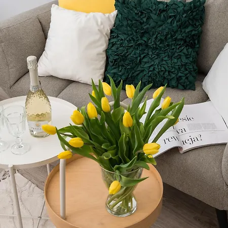 Pink Elephant 2x1br In Historic Tenement House 1 Km From 公寓